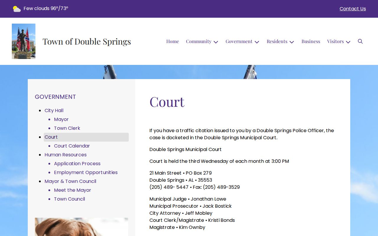Double Springs town court page for checking an arrest case outcome
